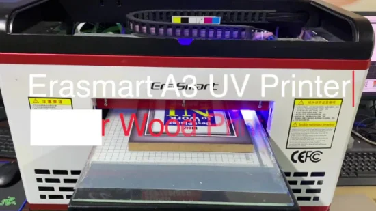 A3 A4 UV Credit Card Printer