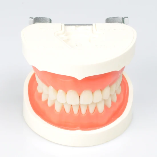 Digital Desktop Scanner 3D with Exocad in Dental Lab